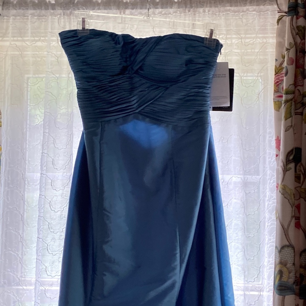 NWT dress fancy